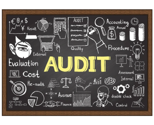 auditor